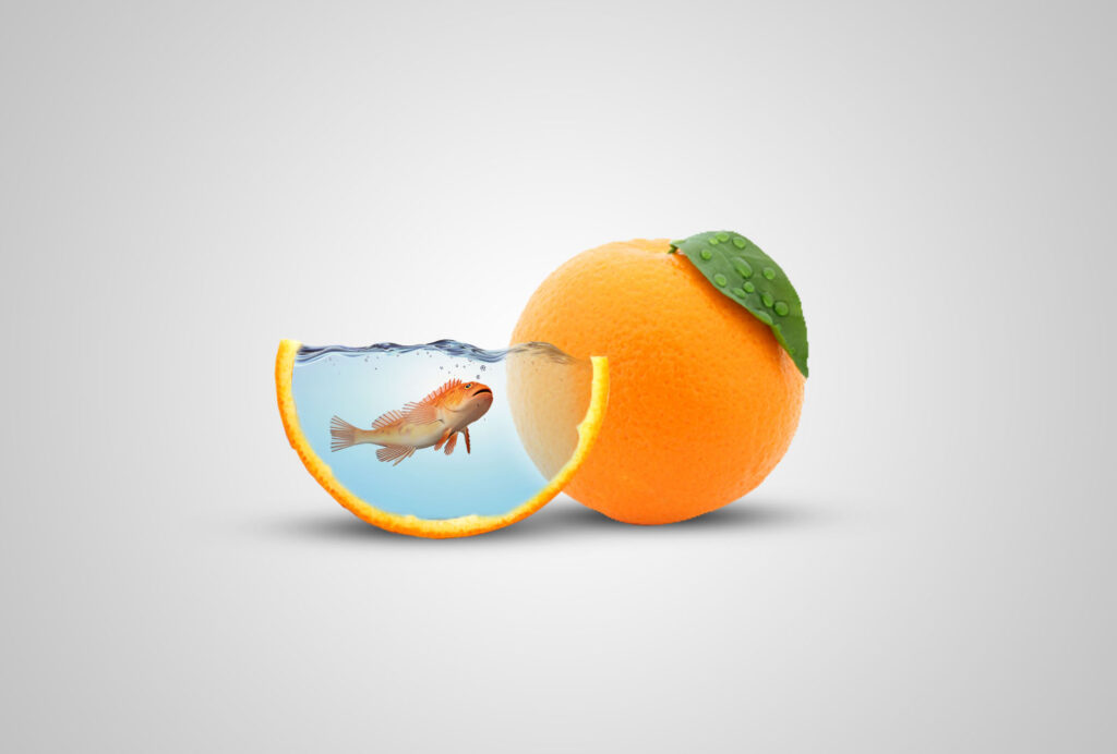 Orange photo manipulation